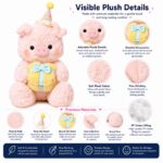 Birthday pig plush toy for custom retail and oem plush collections size reference