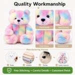 Colorful teddy bear plush toy collection embroidered detail