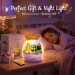 Fairy garden terrarium night light kit for kids – wholesale oem/odm craft gift set front side back view