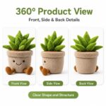 Succulent potted plant plush toy front side back view