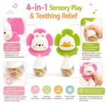 Baby Musical Sensory Rattle Set size and dimensions