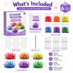 Crystal Growing Science Kit puzzle pieces and layout view