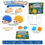 Crystal Hedgehog Growing Science Kit puzzle pieces and layout view