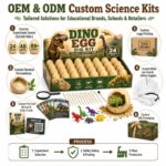 Dinosaur Egg Dig Science Kit board and material detail