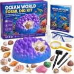 Ocean World Fossil Dig Science Kit front view