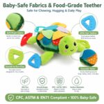Sensory Flip Turtle Baby Toy color and texture detail
